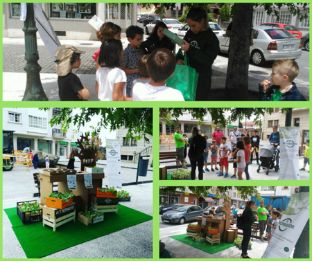 Tropa Verde Ames realizou varias actividades o pasada sábado!